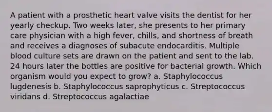 A patient with a prosthetic heart valve visits the dentist for her yearly checkup. Two weeks later, she presents to her primary care physician with a high fever, chills, and shortness of breath and receives a diagnoses of subacute endocarditis. Multiple blood culture sets are drawn on the patient and sent to the lab. 24 hours later the bottles are positive for bacterial growth. Which organism would you expect to grow? a. Staphylococcus lugdenesis b. Staphylococcus saprophyticus c. Streptococcus viridans d. Streptococcus agalactiae