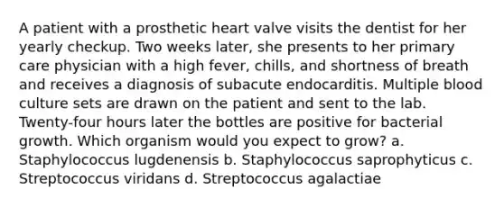 A patient with a prosthetic heart valve visits the dentist for her yearly checkup. Two weeks later, she presents to her primary care physician with a high fever, chills, and shortness of breath and receives a diagnosis of subacute endocarditis. Multiple blood culture sets are drawn on the patient and sent to the lab. Twenty-four hours later the bottles are positive for bacterial growth. Which organism would you expect to grow? a. Staphylococcus lugdenensis b. Staphylococcus saprophyticus c. Streptococcus viridans d. Streptococcus agalactiae