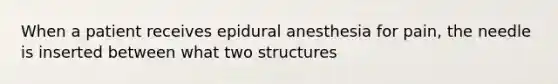 When a patient receives epidural anesthesia for pain, the needle is inserted between what two structures