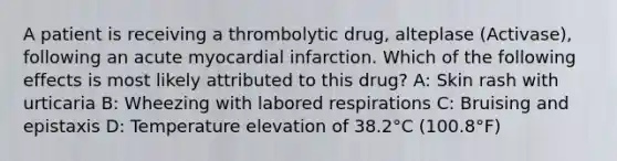 A patient is receiving a thrombolytic drug, alteplase (Activase), following an acute myocardial infarction. Which of the following effects is most likely attributed to this drug? A: Skin rash with urticaria B: Wheezing with labored respirations C: Bruising and epistaxis D: Temperature elevation of 38.2°C (100.8°F)