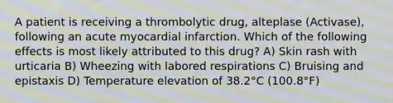 A patient is receiving a thrombolytic drug, alteplase (Activase), following an acute myocardial infarction. Which of the following effects is most likely attributed to this drug? A) Skin rash with urticaria B) Wheezing with labored respirations C) Bruising and epistaxis D) Temperature elevation of 38.2°C (100.8°F)