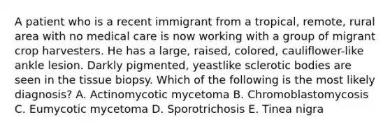 A patient who is a recent immigrant from a tropical, remote, rural area with no medical care is now working with a group of migrant crop harvesters. He has a large, raised, colored, cauliflower-like ankle lesion. Darkly pigmented, yeastlike sclerotic bodies are seen in the tissue biopsy. Which of the following is the most likely diagnosis? A. Actinomycotic mycetoma B. Chromoblastomycosis C. Eumycotic mycetoma D. Sporotrichosis E. Tinea nigra
