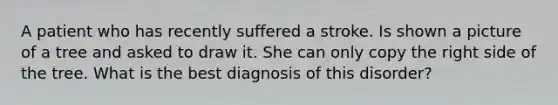 A patient who has recently suffered a stroke. Is shown a picture of a tree and asked to draw it. She can only copy the right side of the tree. What is the best diagnosis of this disorder?