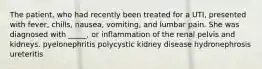 The patient, who had recently been treated for a UTI, presented with fever, chills, nausea, vomiting, and lumbar pain. She was diagnosed with _____, or inflammation of the renal pelvis and kidneys. pyelonephritis polycystic kidney disease hydronephrosis ureteritis