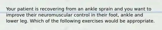 Your patient is recovering from an ankle sprain and you want to improve their neuromuscular control in their foot, ankle and lower leg. Which of the following exercises would be appropriate.