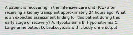 A patient is recovering in the intensive care unit (ICU) after receiving a kidney transplant approximately 24 hours ago. What is an expected assessment finding for this patient during this early stage of recovery? A. Hypokalemia B. Hyponatremia C. Large urine output D. Leukocytosis with cloudy urine output