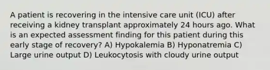 A patient is recovering in the intensive care unit (ICU) after receiving a kidney transplant approximately 24 hours ago. What is an expected assessment finding for this patient during this early stage of recovery? A) Hypokalemia B) Hyponatremia C) Large urine output D) Leukocytosis with cloudy urine output