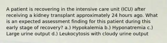 A patient is recovering in the intensive care unit (ICU) after receiving a kidney transplant approximately 24 hours ago. What is an expected assessment finding for this patient during this early stage of recovery? a.) Hypokalemia b.) Hyponatremia c.) Large urine output d.) Leukocytosis with cloudy urine output