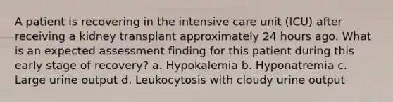 A patient is recovering in the intensive care unit (ICU) after receiving a kidney transplant approximately 24 hours ago. What is an expected assessment finding for this patient during this early stage of recovery? a. Hypokalemia b. Hyponatremia c. Large urine output d. Leukocytosis with cloudy urine output