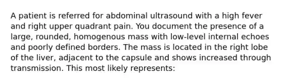 A patient is referred for abdominal ultrasound with a high fever and right upper quadrant pain. You document the presence of a large, rounded, homogenous mass with low-level internal echoes and poorly defined borders. The mass is located in the right lobe of the liver, adjacent to the capsule and shows increased through transmission. This most likely represents: