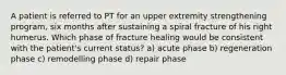 A patient is referred to PT for an upper extremity strengthening program, six months after sustaining a spiral fracture of his right humerus. Which phase of fracture healing would be consistent with the patient's current status? a) acute phase b) regeneration phase c) remodelling phase d) repair phase