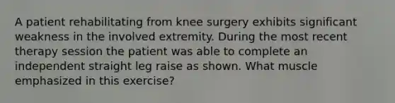 A patient rehabilitating from knee surgery exhibits significant weakness in the involved extremity. During the most recent therapy session the patient was able to complete an independent straight leg raise as shown. What muscle emphasized in this exercise?