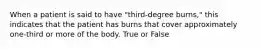 When a patient is said to have "third-degree burns," this indicates that the patient has burns that cover approximately one-third or more of the body. True or False