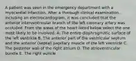 A patient was seen in the emergency department with a myocardial infarction. After a thorough clinical examination, including an electrocardiogram, it was concluded that the anterior interventricular branch of the left coronary artery was occluded. From the areas of the heart listed below select the one most likely to be involved. A. The entire diaphragmatic surface of the left ventricle B. The anterior part of the ventricular septum and the anterior (septal) papillary muscle of the left ventricle C. The posterior wall of the right atrium D. The atrioventricular bundle E. The right auricle