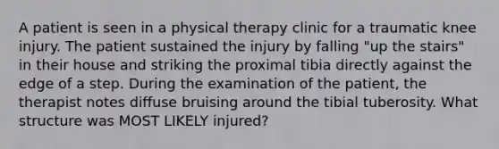 A patient is seen in a physical therapy clinic for a traumatic knee injury. The patient sustained the injury by falling "up the stairs" in their house and striking the proximal tibia directly against the edge of a step. During the examination of the patient, the therapist notes diffuse bruising around the tibial tuberosity. What structure was MOST LIKELY injured?