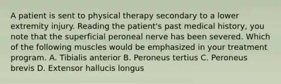 A patient is sent to physical therapy secondary to a lower extremity injury. Reading the patient's past medical history, you note that the superficial peroneal nerve has been severed. Which of the following muscles would be emphasized in your treatment program. A. Tibialis anterior B. Peroneus tertius C. Peroneus brevis D. Extensor hallucis longus