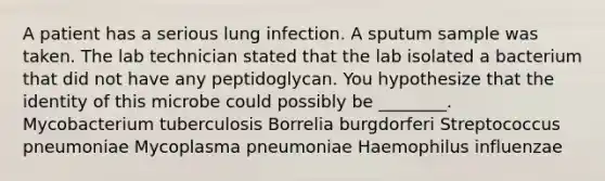 A patient has a serious lung infection. A sputum sample was taken. The lab technician stated that the lab isolated a bacterium that did not have any peptidoglycan. You hypothesize that the identity of this microbe could possibly be ________. Mycobacterium tuberculosis Borrelia burgdorferi Streptococcus pneumoniae Mycoplasma pneumoniae Haemophilus influenzae