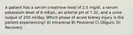 A patient has a serum creatinine level of 2.5 mg/dl, a serum potassium level of 6 mEq/L, an arterial pH of 7.32, and a urine output of 250 ml/day. Which phase of acute kidney injury is the patient experiencing? A) Intrarenal B) Postrenal C) Oliguric D) Recovery