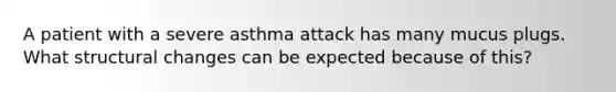 A patient with a severe asthma attack has many mucus plugs. What structural changes can be expected because of this?
