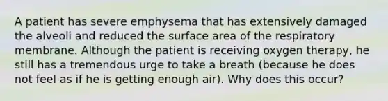 A patient has severe emphysema that has extensively damaged the alveoli and reduced the surface area of the respiratory membrane. Although the patient is receiving oxygen therapy, he still has a tremendous urge to take a breath (because he does not feel as if he is getting enough air). Why does this occur?