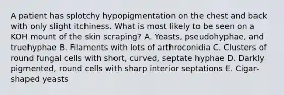 A patient has splotchy hypopigmentation on the chest and back with only slight itchiness. What is most likely to be seen on a KOH mount of the skin scraping? A. Yeasts, pseudohyphae, and truehyphae B. Filaments with lots of arthroconidia C. Clusters of round fungal cells with short, curved, septate hyphae D. Darkly pigmented, round cells with sharp interior septations E. Cigar-shaped yeasts