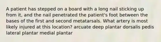 A patient has stepped on a board with a long nail sticking up from it, and the nail penetrated the patient's foot between the bases of the first and second metatarsals. What artery is most likely injured at this location? arcuate deep plantar dorsalis pedis lateral plantar medial plantar