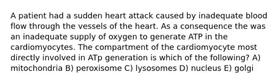 A patient had a sudden heart attack caused by inadequate blood flow through the vessels of the heart. As a consequence the was an inadequate supply of oxygen to generate ATP in the cardiomyocytes. The compartment of the cardiomyocyte most directly involved in ATp generation is which of the following? A) mitochondria B) peroxisome C) lysosomes D) nucleus E) golgi