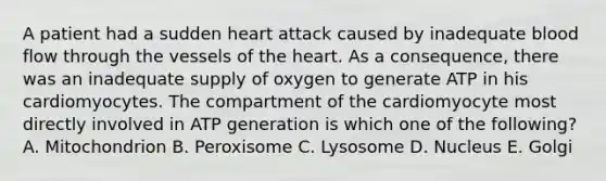 A patient had a sudden heart attack caused by inadequate blood flow through the vessels of the heart. As a consequence, there was an inadequate supply of oxygen to generate ATP in his cardiomyocytes. The compartment of the cardiomyocyte most directly involved in ATP generation is which one of the following? A. Mitochondrion B. Peroxisome C. Lysosome D. Nucleus E. Golgi