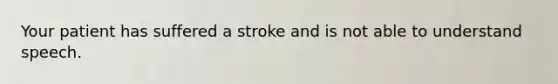 Your patient has suffered a stroke and is not able to understand speech.