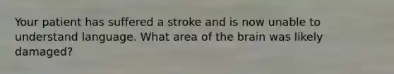 Your patient has suffered a stroke and is now unable to understand language. What area of the brain was likely damaged?