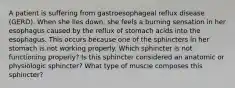 A patient is suffering from gastroesophageal reflux disease (GERD). When she lies down, she feels a burning sensation in her esophagus caused by the reflux of stomach acids into the esophagus. This occurs because one of the sphincters in her stomach is not working properly. Which sphincter is not functioning properly? Is this sphincter considered an anatomic or physiologic sphincter? What type of muscle composes this sphincter?