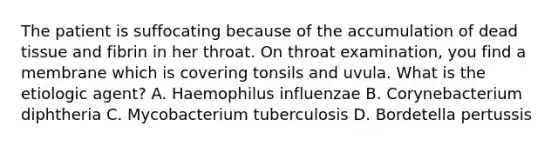 The patient is suffocating because of the accumulation of dead tissue and fibrin in her throat. On throat examination, you find a membrane which is covering tonsils and uvula. What is the etiologic agent? A. Haemophilus influenzae B. Corynebacterium diphtheria C. Mycobacterium tuberculosis D. Bordetella pertussis