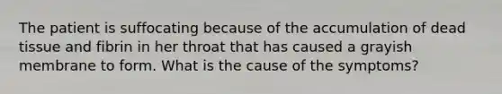The patient is suffocating because of the accumulation of dead tissue and fibrin in her throat that has caused a grayish membrane to form. What is the cause of the symptoms?
