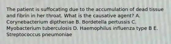 The patient is suffocating due to the accumulation of dead tissue and fibrin in her throat. What is the causative agent? A. Corynebacterium diptheriae B. Bordetella pertussis C. Myobacterium tuberculosis D. Haemophilus influenza type B E. Streptococcus pneumoniae