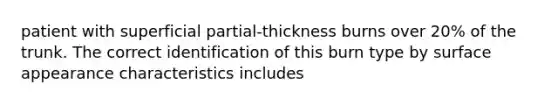 patient with superficial partial-thickness burns over 20% of the trunk. The correct identification of this burn type by surface appearance characteristics includes