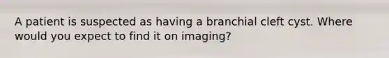 A patient is suspected as having a branchial cleft cyst. Where would you expect to find it on imaging?