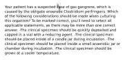 Your patient has a suspected case of gas gangrene, which is caused by the obligate anaerobe Clostridium perfringens. Which of the following considerations should be made when culturing this organism? To be marked correct, you'll need to select all applicable statements, as there may be more than one correct answer. -The clinical specimen should be quickly deposited and capped in a vial with a reducing agent. -The clinical specimen should be placed inside of a candle jar during incubation. -The clinical specimen should be placed inside a small anaerobic jar or chamber during incubation. -The clinical specimen should be grown at a cooler temperature.