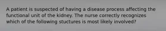 A patient is suspected of having a disease process affecting the functional unit of the kidney. The nurse correctly recognizes which of the following stuctures is most likely involved?