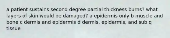 a patient sustains second degree partial thickness burns? what layers of skin would be damaged? a epidermis only b muscle and bone c dermis and epidermis d dermis, epidermis, and sub q tissue