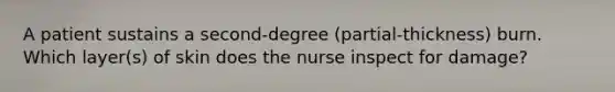 A patient sustains a second-degree (partial-thickness) burn. Which layer(s) of skin does the nurse inspect for damage?