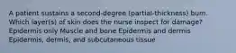 A patient sustains a second-degree (partial-thickness) burn. Which layer(s) of skin does the nurse inspect for damage? Epidermis only Muscle and bone Epidermis and dermis Epidermis, dermis, and subcutaneous tissue