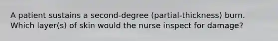 A patient sustains a second-degree (partial-thickness) burn. Which layer(s) of skin would the nurse inspect for damage?