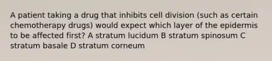 A patient taking a drug that inhibits cell division (such as certain chemotherapy drugs) would expect which layer of the epidermis to be affected first? A stratum lucidum B stratum spinosum C stratum basale D stratum corneum