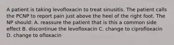 A patient is taking levofloxacin to treat sinusitis. The patient calls the PCNP to report pain just above the heel of the right foot. The NP should: A. reassure the patient that is this a common side effect B. discontinue the levofloxacin C. change to ciprofloxacin D. change to ofloxacin