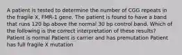 A patient is tested to determine the number of CGG repeats in the fragile X, FMR-1 gene. The patient is found to have a band that runs 120 bp above the normal 30 bp control band. Which of the following is the correct interpretation of these results? Patient is normal Patient is carrier and has premutation Patient has full fragile X mutation