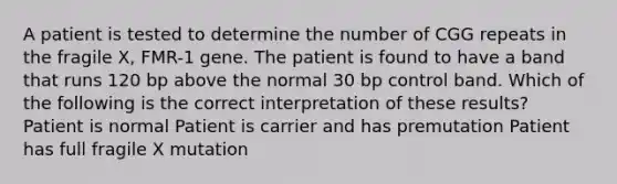 A patient is tested to determine the number of CGG repeats in the fragile X, FMR-1 gene. The patient is found to have a band that runs 120 bp above the normal 30 bp control band. Which of the following is the correct interpretation of these results? Patient is normal Patient is carrier and has premutation Patient has full fragile X mutation