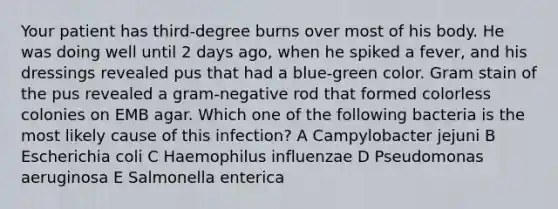 Your patient has third-degree burns over most of his body. He was doing well until 2 days ago, when he spiked a fever, and his dressings revealed pus that had a blue-green color. Gram stain of the pus revealed a gram-negative rod that formed colorless colonies on EMB agar. Which one of the following bacteria is the most likely cause of this infection? A Campylobacter jejuni B Escherichia coli C Haemophilus influenzae D Pseudomonas aeruginosa E Salmonella enterica