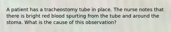 A patient has a tracheostomy tube in place. The nurse notes that there is bright red blood spurting from the tube and around the stoma. What is the cause of this observation?