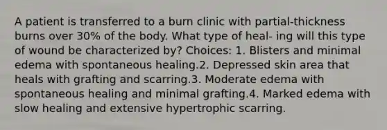 A patient is transferred to a burn clinic with partial-thickness burns over 30% of the body. What type of heal- ing will this type of wound be characterized by? Choices: 1. Blisters and minimal edema with spontaneous healing.2. Depressed skin area that heals with grafting and scarring.3. Moderate edema with spontaneous healing and minimal grafting.4. Marked edema with slow healing and extensive hypertrophic scarring.