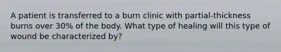 A patient is transferred to a burn clinic with partial-thickness burns over 30% of the body. What type of healing will this type of wound be characterized by?